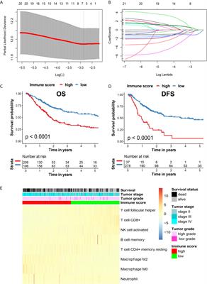 PD-1-Positive Tumor-Associated Macrophages Define Poor Clinical Outcomes in Patients With Muscle Invasive Bladder Cancer Through Potential CD68/PD-1 Complex Interactions